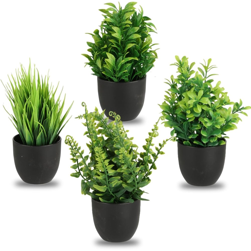 Plantas mini negra