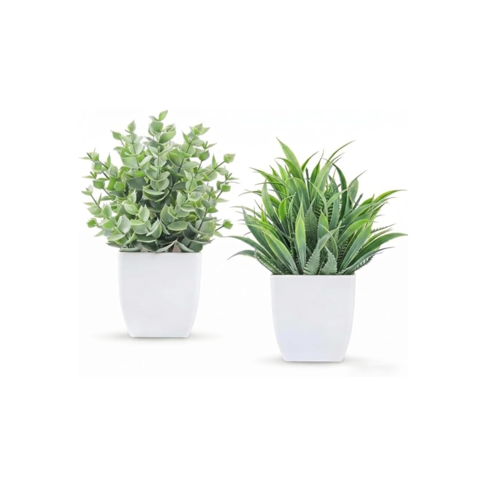 Plantas mini